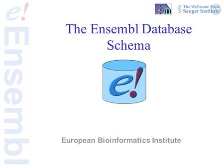 European Bioinformatics Institute The Ensembl Database Schema.