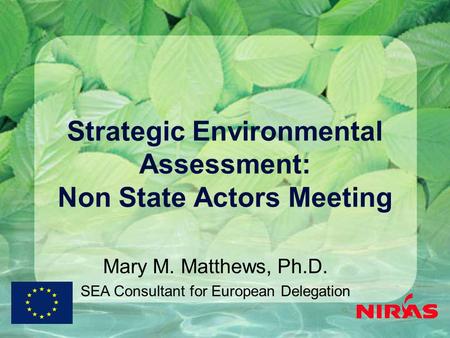 Strategic Environmental Assessment: Non State Actors Meeting Mary M. Matthews, Ph.D. SEA Consultant for European Delegation.