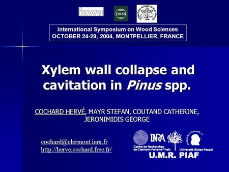 Xylem wall collapse and cavitation in Pinus spp. COCHARD HERVÉ, MAYR STEFAN, COUTAND CATHERINE, JERONIMIDIS GEORGE Xylem wall collapse and cavitation in.