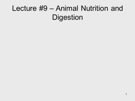 Lecture #9 – Animal Nutrition and Digestion