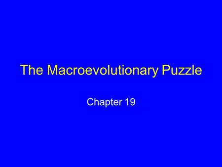 The Macroevolutionary Puzzle Chapter 19. Macroevolution The large-scale patterns, trends, and rates of change among families and other more inclusive.