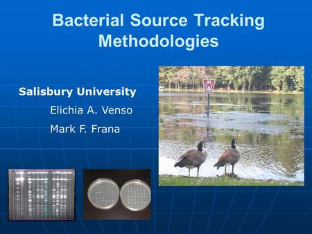 Bacterial Source Tracking Methodologies