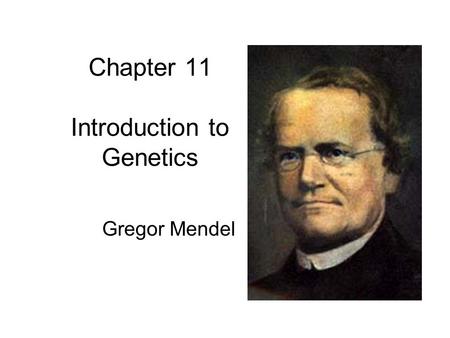 Chapter 11 Introduction to Genetics