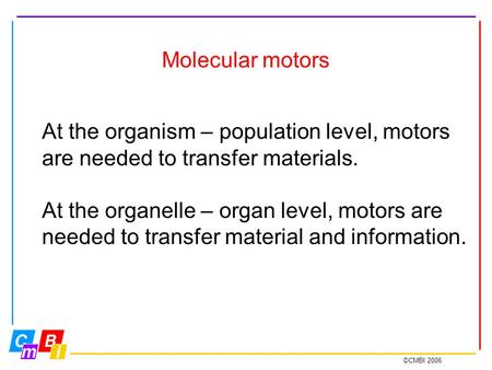 ©CMBI 2006 Molecular motors At the organism – population level, motors are needed to transfer materials. At the organelle – organ level, motors are needed.
