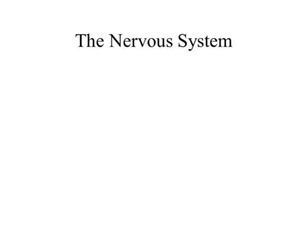 The Nervous System. General Nervous System Functions Control of the internal environment –Nervous system works with endocrine system Voluntary control.