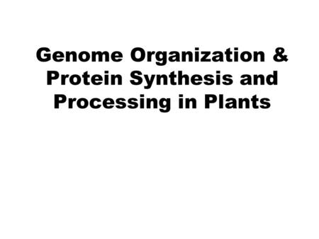 Genome Organization & Protein Synthesis and Processing in Plants