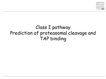 Class I pathway Prediction of proteasomal cleavage and TAP binding.
