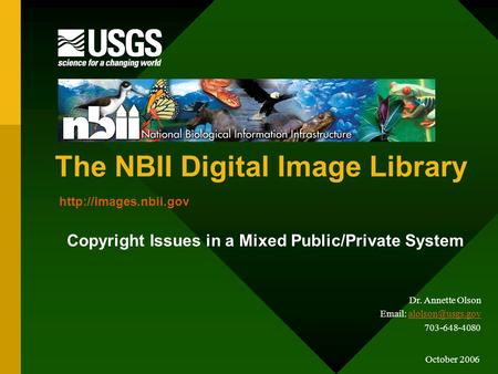 The NBII Digital Image Library Copyright Issues in a Mixed Public/Private System  October 2006 Dr. Annette Olson