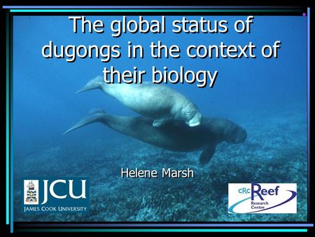 The global status of dugongs in the context of their biology Helene Marsh.