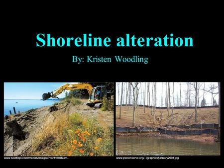 Shoreline alteration By: Kristen Woodling www.pwconserve.org/.../graphics/january2004.jpg www.seattlepi.com/mediaManager/?controllerNam...