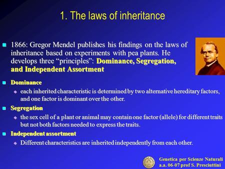 Genetica per Scienze Naturali a.a. 06-07 prof S. Presciuttini 1. The laws of inheritance 1866: Gregor Mendel publishes his findings on the laws of inheritance.