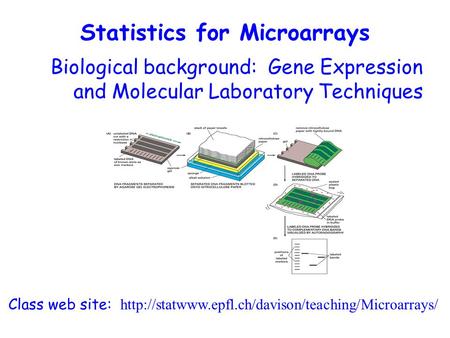 Biological background: Gene Expression and Molecular Laboratory Techniques Class web site:  Statistics.