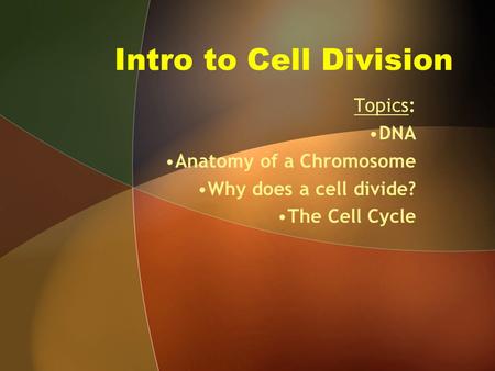 Intro to Cell Division Topics: DNA Anatomy of a Chromosome Why does a cell divide? The Cell Cycle.