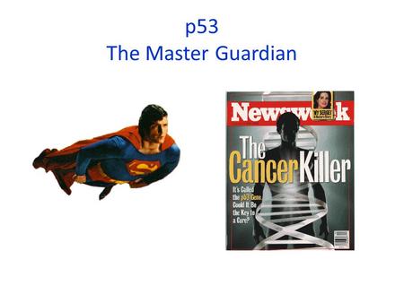 P53 The Master Guardian. R point Cell cycle control involves several checkpoints and checkpoint (molecular breaking) mechanisms.