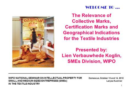WELCOME TO ... The Relevance of Collective Marks, Certification Marks and Geographical Indications for the Textile Industries Presented by: Lien Verbauwhede.