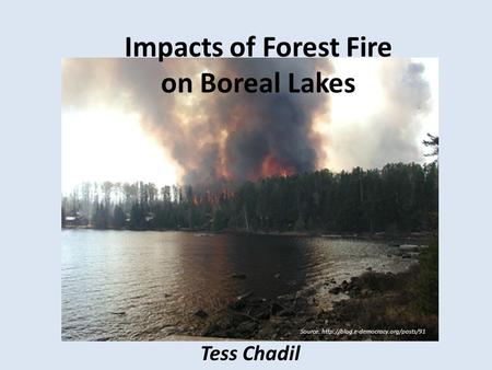 Impacts of Forest Fire on Boreal Lakes