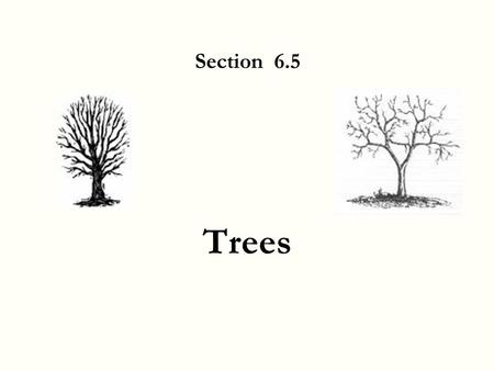 Trees Section 6.5 6.5 Trees 2 Trees Definition Examples Two Examples.