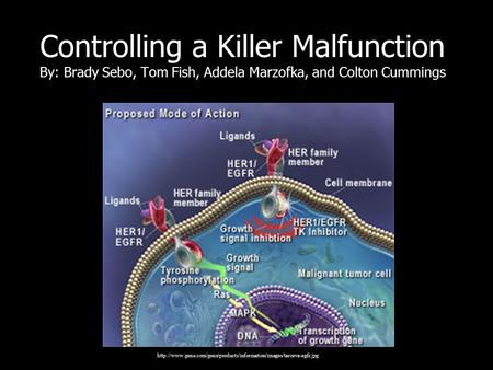 Controlling a Killer Malfunction By: Brady Sebo, Tom Fish, Addela Marzofka, and Colton Cummings