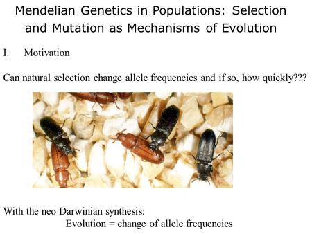 Mendelian Genetics in Populations: Selection and Mutation as Mechanisms of Evolution I.Motivation Can natural selection change allele frequencies and if.