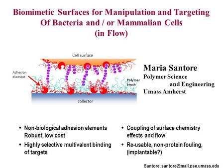 Biomimetic Surfaces for Manipulation and Targeting Of Bacteria and / or Mammalian Cells (in Flow) Santore, Cell surface collector.