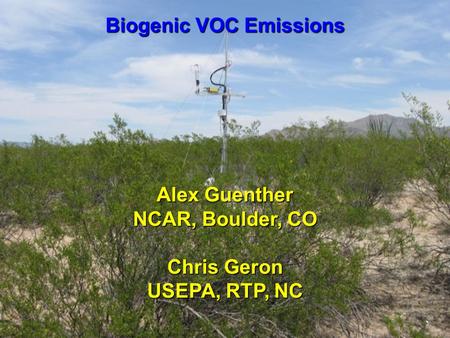 Biogenic VOC Emissions