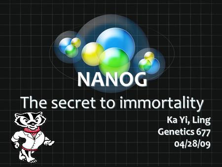 NANOG The secret to immortality Ka Yi, Ling Genetics 677 04/28/09.