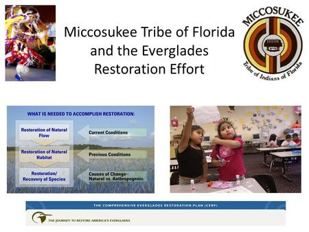 Miccosukee Tribe of Florida and the Everglades Restoration Effort.