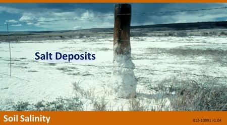 Salt Deposits Soil Salinity 012-10991 r1.04. Salt Deposits Soil Salinity 012-10756 r1.04.