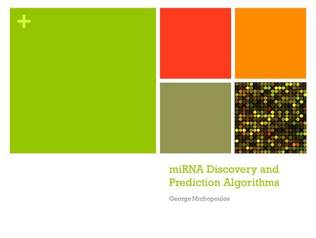 miRNA Discovery and Prediction Algorithms