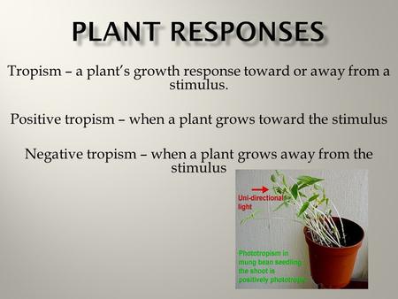 Tropism – a plant’s growth response toward or away from a stimulus. Positive tropism – when a plant grows toward the stimulus Negative tropism – when a.