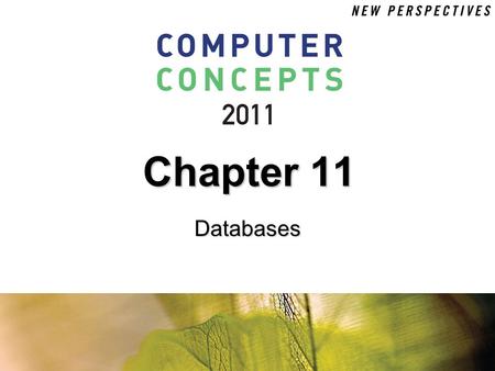 Chapter 11 Databases. 11 Chapter 11: Databases2 Chapter Contents  Section A: File and Database Concepts  Section B: Data Management Tools  Section.