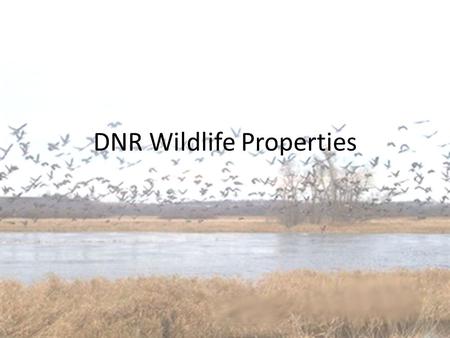 DNR Wildlife Properties. The Project The Southeast Region of DNR has just started master planning for its Tier II Wildlife Properties, these include: