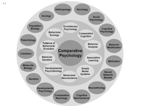 Comparative Psychology Evolutionary Psychology Sociology Comparative Cognition Behavior Analysis Associative Learning Simple Model Systems Behavioral Neuroscience.