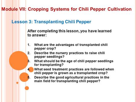 Module VII: Cropping Systems for Chili Pepper Cultivation Lesson 3: Transplanting Chili Pepper After completing this lesson, you have learned to answer: