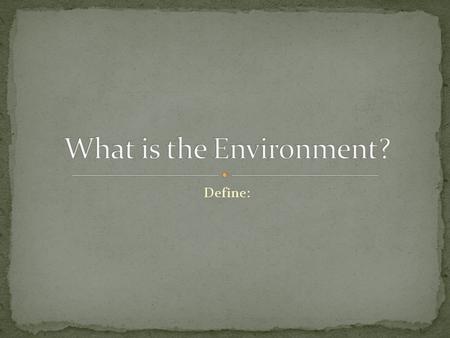 What is the Environment?