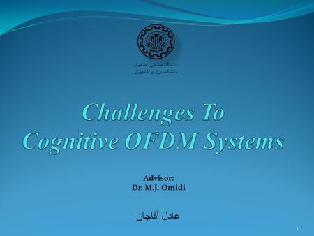 Challenges To Cognitive OFDM Systems