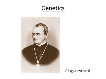 Genetics Gregor Mendel.