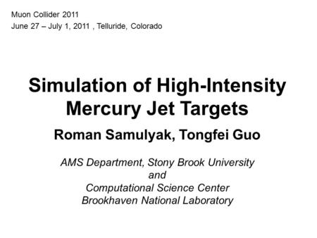 Simulation of High-Intensity Roman Samulyak, Tongfei Guo
