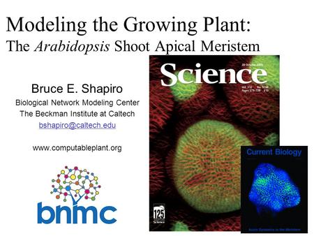 Modeling the Growing Plant: The Arabidopsis Shoot Apical Meristem Bruce E. Shapiro Biological Network Modeling Center The Beckman Institute at Caltech.
