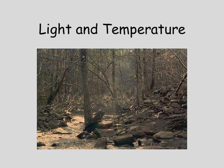 Light and Temperature. Light photons- packets of electomagnetic energy wavelength: ultraviolet= short; infrared= long ~ 53% of the incident light/radiation.