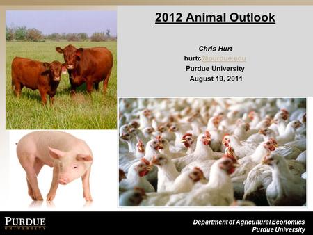 Department of Agricultural Economics Purdue University 2012 Animal Outlook Chris Hurt Purdue University August 19,
