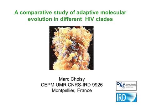 A comparative study of adaptive molecular evolution in different HIV clades Marc Choisy CEPM UMR CNRS-IRD 9926 Montpellier, France.