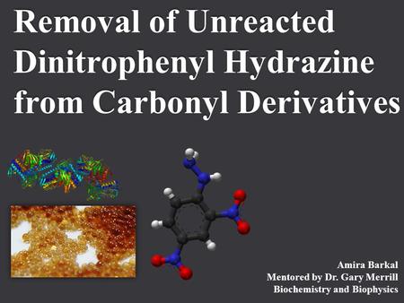 Removal of Unreacted Dinitrophenyl Hydrazine from Carbonyl Derivatives Amira Barkal Mentored by Dr. Gary Merrill Biochemistry and Biophysics.