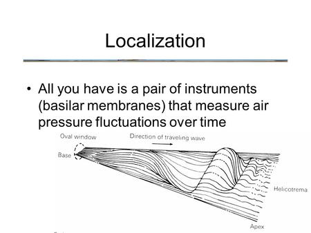 All you have is a pair of instruments (basilar membranes) that measure air pressure fluctuations over time Localization.