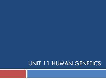 Unit 11 Human Genetics.