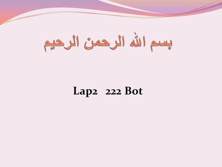 بسم الله الرحمن الرحيم Lap2 222 Bot.