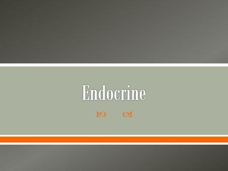 Endocrine.