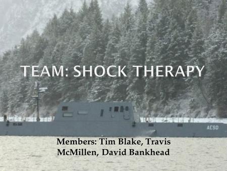 Members: Tim Blake, Travis McMillen, David Bankhead.