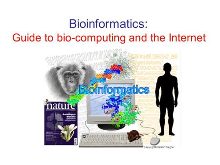 Bioinformatics: Guide to bio-computing and the Internet Copyright© Kerstin Wagner.