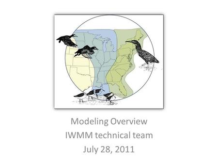 Modeling Overview IWMM technical team July 28, 2011.